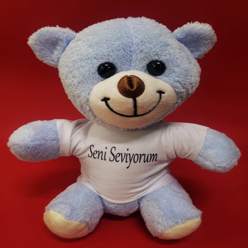 ETT Mavi Seni Seviyorum Tişörtlü Peluş Ayı - 25 cm, Yumuşak, Anlamlı Hediye