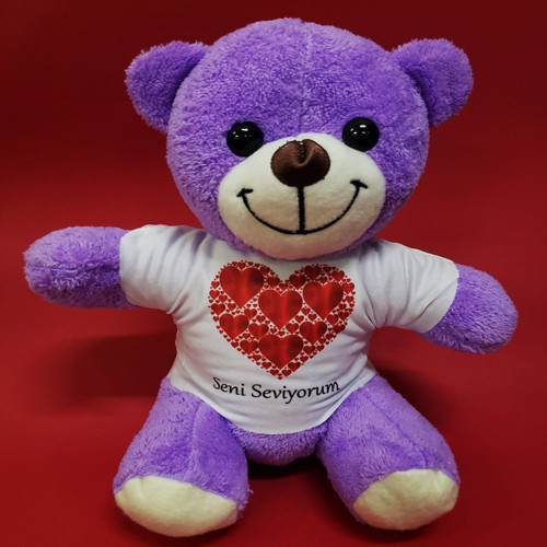 Seni Seviyorum Tişörtlü Peluş Ayıcık (Kırmızı) - 25 cm