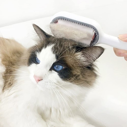 Kedi Köpek Tüy Toplama Tarağı - Düğüm Çözücü, Parlak Kürk