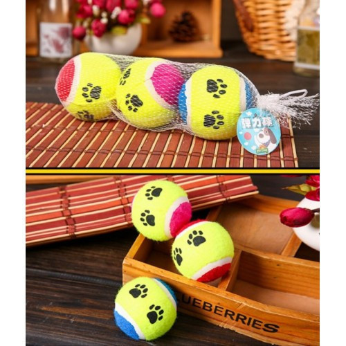 At Getir Köpek Eğitim Topu (2)