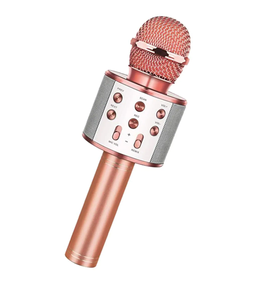 Bluetooth Karaoke Mikrofon (2)