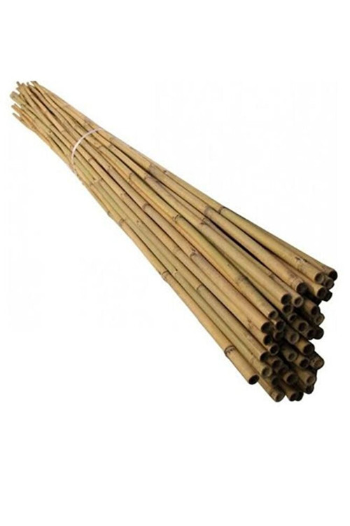 Bambu Bitki Destek Çubuğu 150 Cm (25 Âdet)