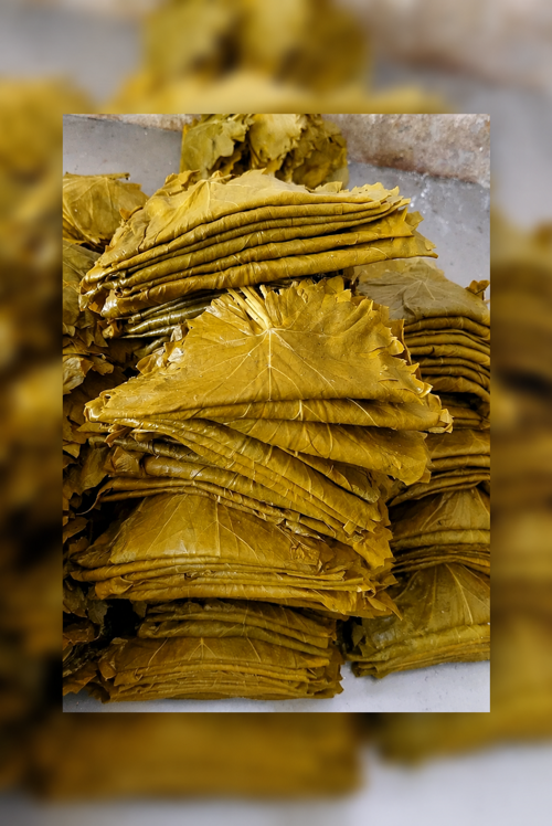 YENİ MAHSÜL Asma Üzüm Yaprağı 5 KG Salamura (Damarsız Üzüm Yaprağı)