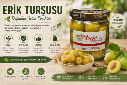 Yeşil Erik Turşusu 450 gr