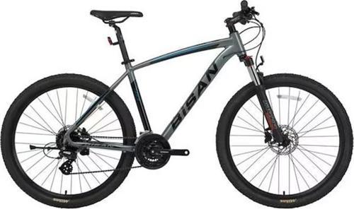 MTX 7300 ERKEK DAĞ BİSİKLETİ 48CM HD 29 JANT 24 VİTES METALİK GRİ MAVİ