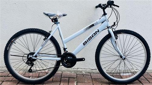 SENTIERO KADIN DAĞ BİSİKLETİ 42CM V 24 JANT 21 VİTES BUZ MAVİ SİYAH