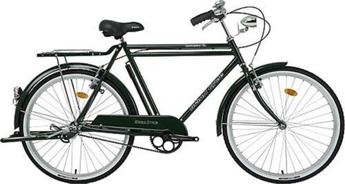 ROADSTAR GL HİZMET BİSİKLETİ 58CM V 26 JANT 1 VİTES YEŞİL SİYAH BEYAZ