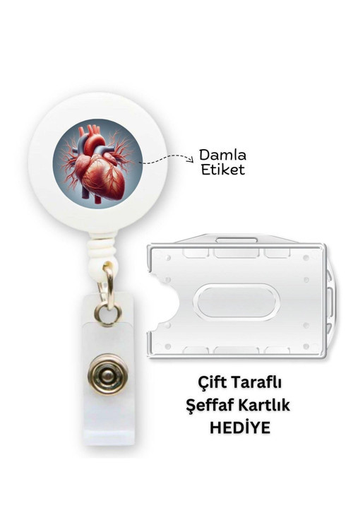 Kalp Anatomisi Damla Etiket Yoyo Yaka Kartlığı Yatay Dikey Kart Koruyucu