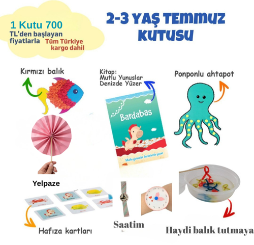 2-3 Yaş Deniz Kutusu