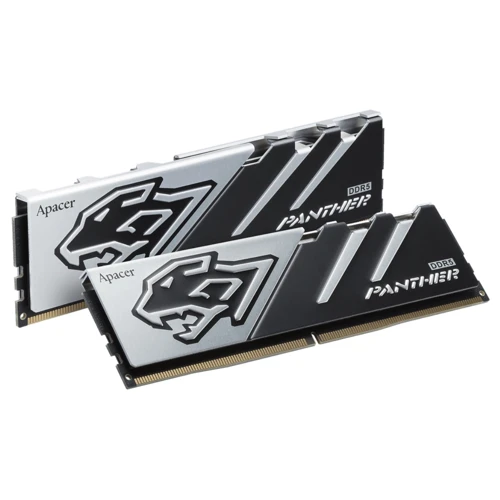 Panther 32GB (2x16GB) 6000MHz CL38 DDR5 Siyah Gaming Ram (AH5U32G60C6227BAA-2)
