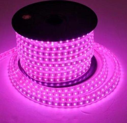 Neon Led Pempe Renk 5 Metre -12 Volt Uyumlu