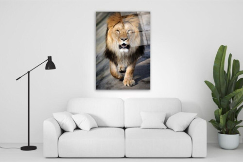 Aslan Cam Tablo