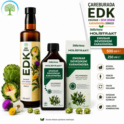 ÇareBurada EDK Sirke 500 ml & Holistrakt Enginar, Deve Dikeni, Karahindiba 250 ml Ekstrakt | Enginar