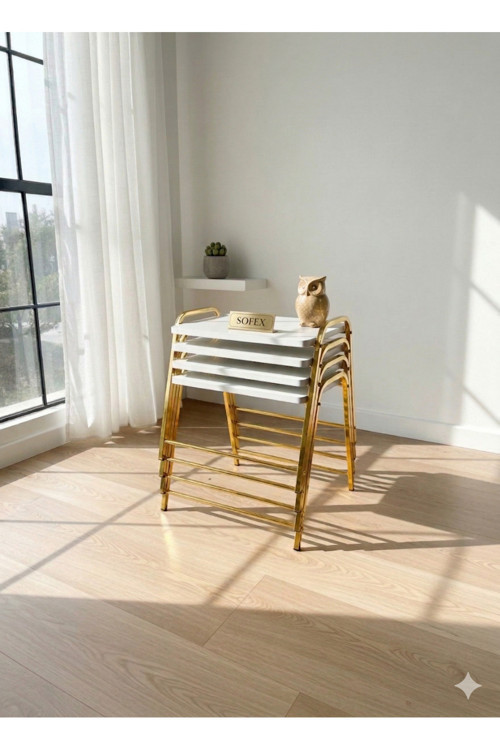 4'Lü Tepsi Model Modern Sehpa