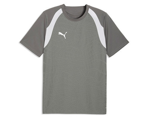 TEAMFINAL26 TRAINING JERSEY Erkek Futbol Antrenman Tişörtü 65967513 Gri