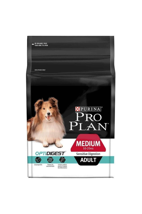 Medium Adult Somon Etli Köpek Kuru Mama 3kg