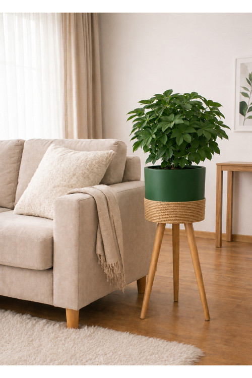 Bambu Ahşap Ayaklı Saksı Beyaz Halat