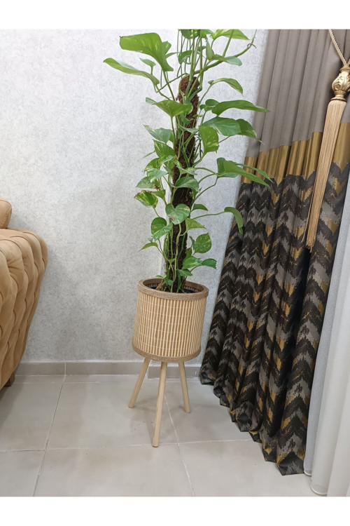 Bambu Saksı Ahşap Saksı Hasır Saksı 46Cm Ayak Boyu (24Cm Veya 39Cm Ayak Talep Edebilirsiniz)