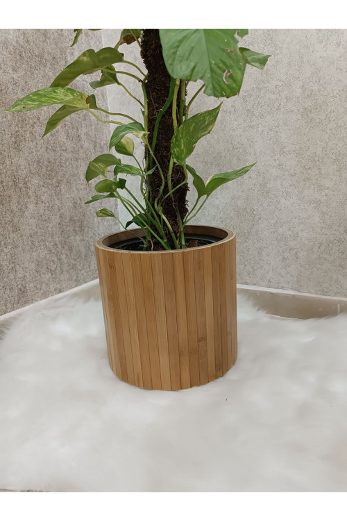 Bambu Ahşap Sepet/Saksılık Naturel
