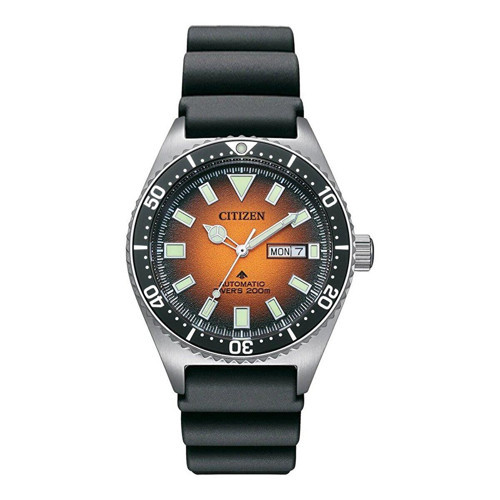 NY0120-01ZC Citizen Promaster Erkek Kol Saati