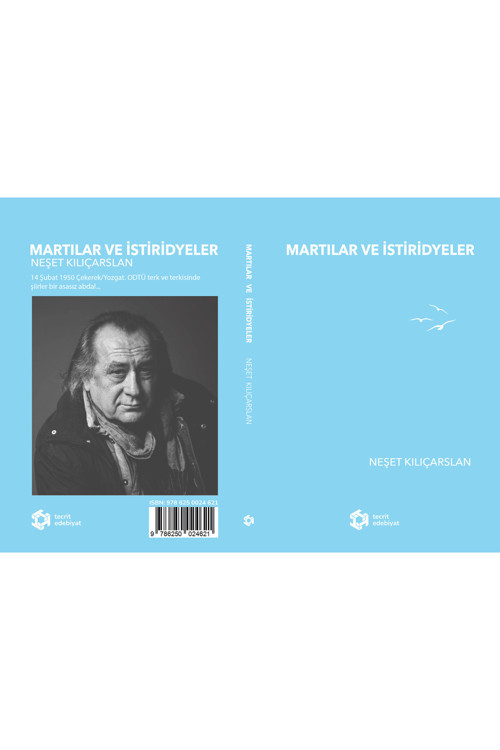 Martılar Ve İstiridyeler