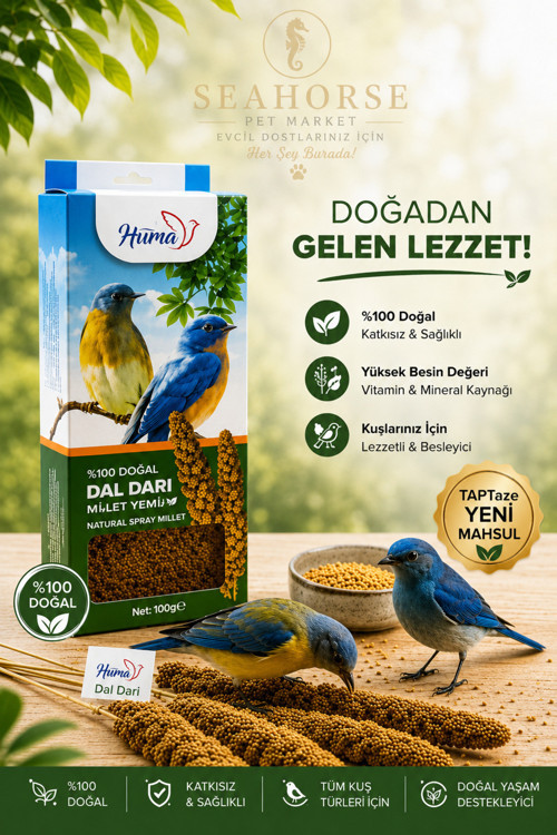 %100 Doğal Dal Darı Kuş Yemi 100g | Muhabbet Kuşu & Tüm Kuşlar İçin Besleyici Millet Dalı