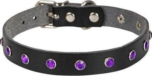 Gerçek Deriden Taşlı Kedi Boyun Tasması Xlarge Siyah 1.5x26-31 Cm
