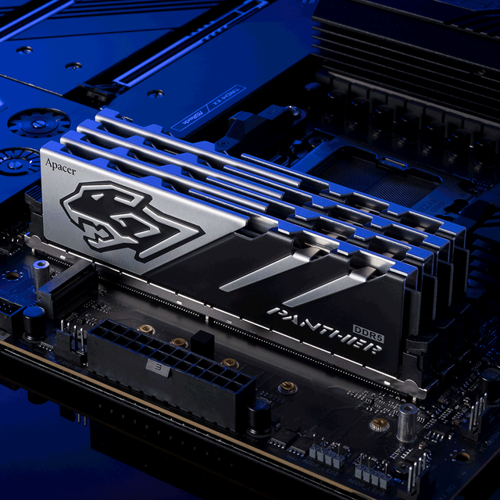 Panther 32GB (2x16GB) 6000MHz CL40 DDR5 Gaming Ram (AH5U32G60C5127BAA-2)