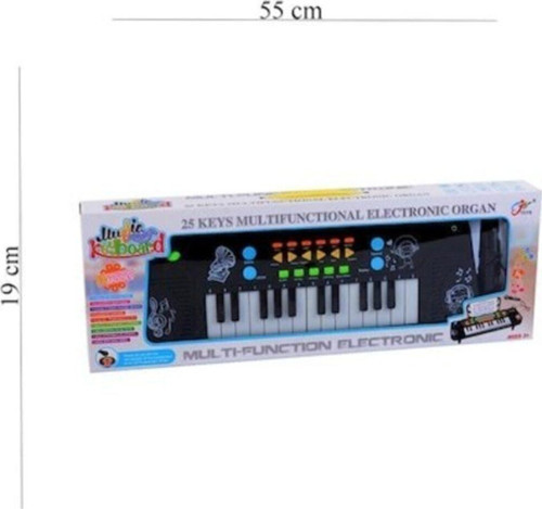 Canem 25 Tuş Pilli Karaoke Org
