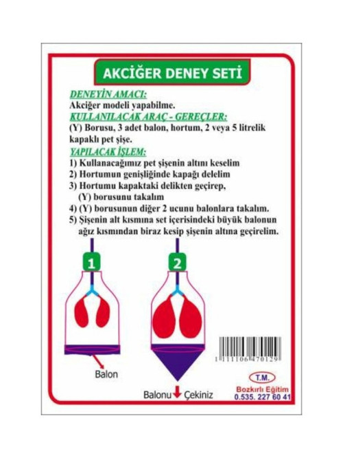 Eğitim Akciğer Deney Seti