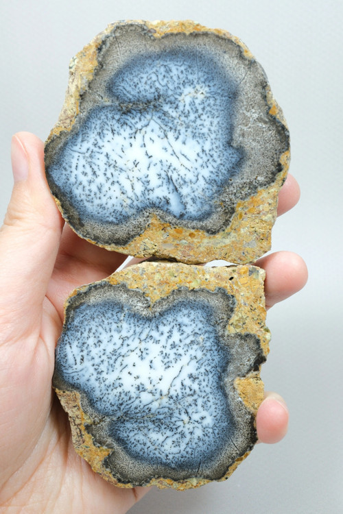 Merlinite (Dendritik Opal) - Mavi ve Beyaz Dendritik Opal Çift