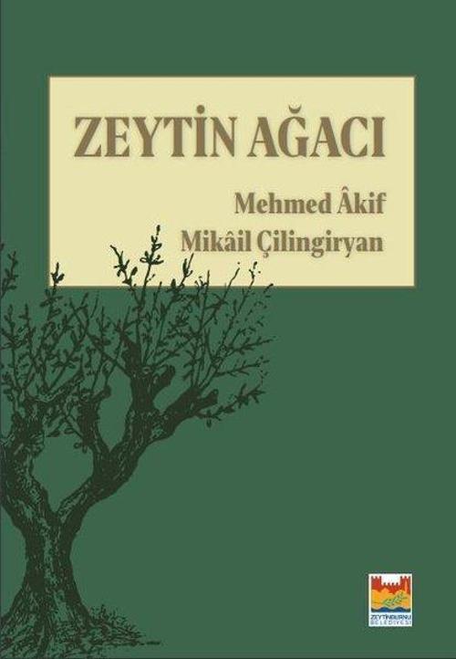 Zeytin Ağacı