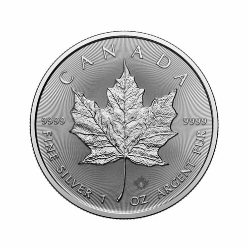 Maple Leaf 2026 Gümüş Sikke Coin