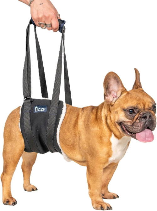 Köpek Yürüyüş Desteği – Sling Taşıma Aparatı, Felçli ve Yaşlı Köpekler İçin Yürüm