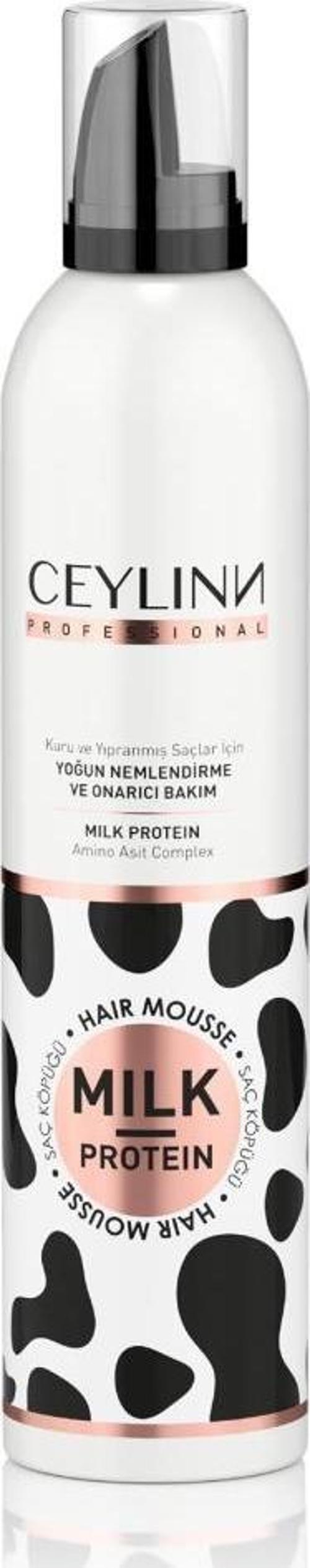 Milk Protein Saç Köpüğü 300 ML