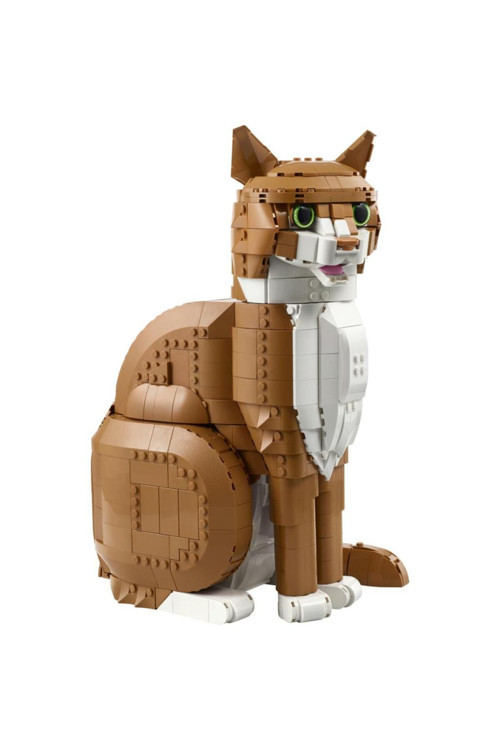 ® LEGO Ideas 21376 Turuncu Kedi