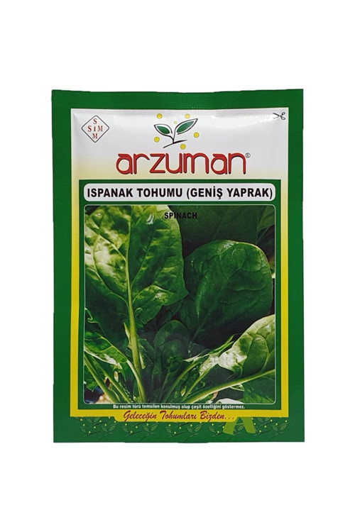 Ispanak Tohumu 25 g