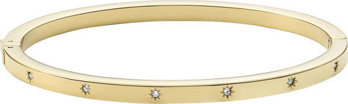 Fossıl JF03872-710 Kadın Bileklik