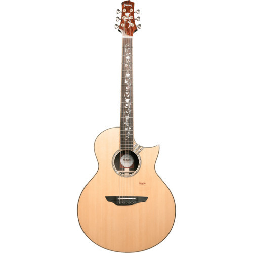 Summer 1988TFL-M1Pro Elektro Akustik Gitar