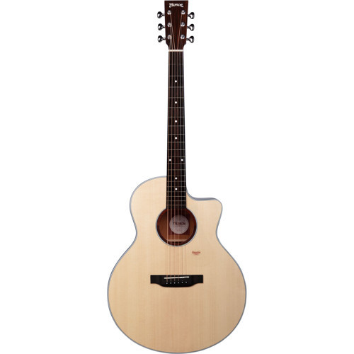 150M1 Elektro Akustik Gitar