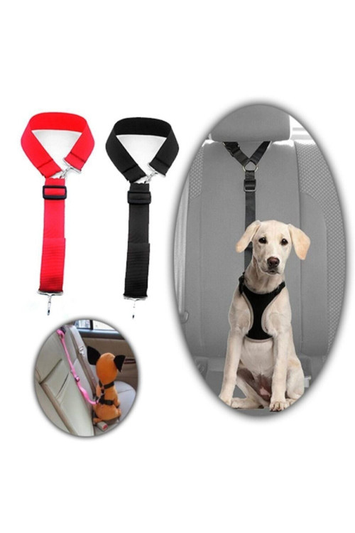 Araba Köpek Emniyet Kemeri Siyah Renk
