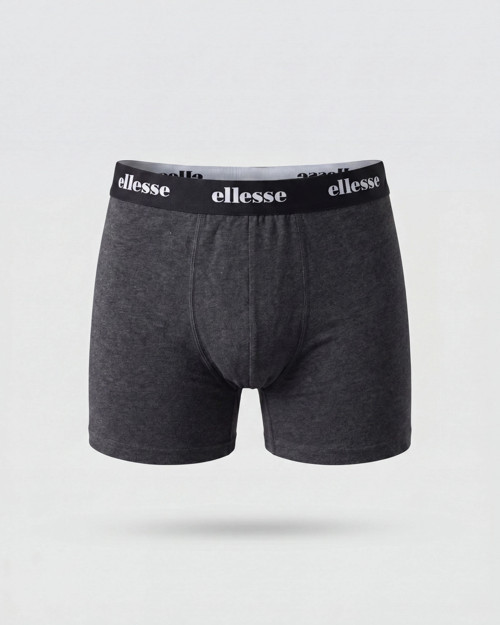 Erkek Boxer 6SM9002-ANT