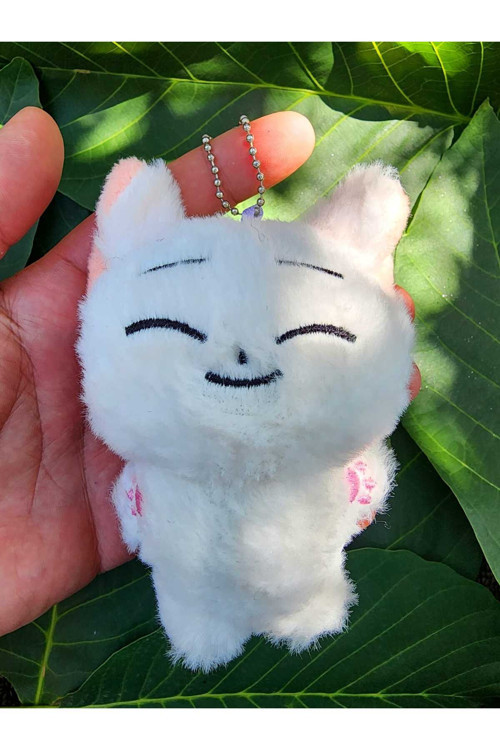 Skzoo kpop enhypen peluş oyuncak anahtarlık 10cm