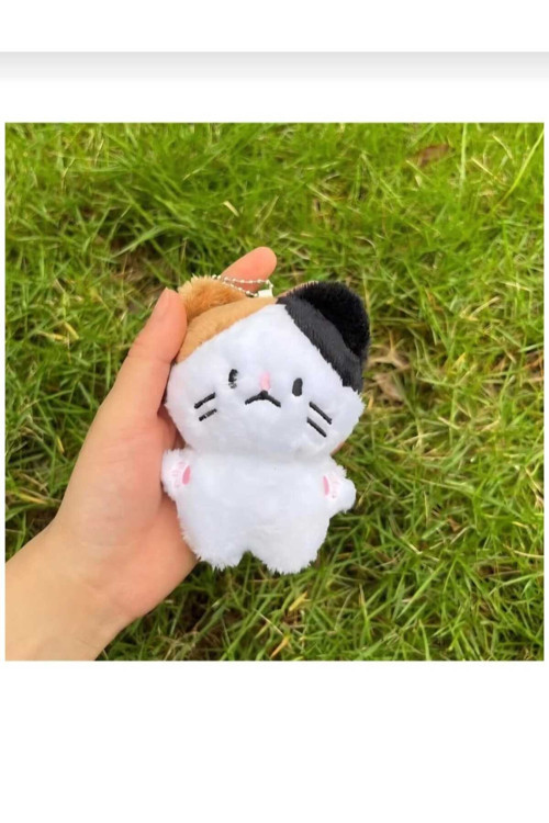 kpop enhypen peluş anahtarlık oyuncak 10cm süpriz hediyeli