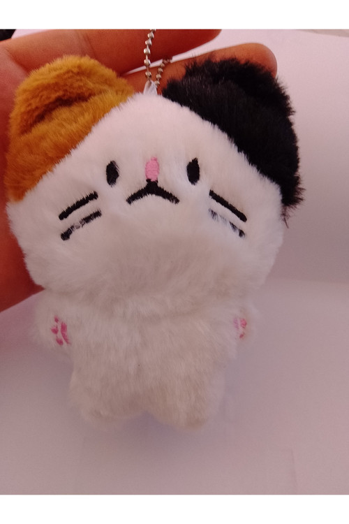 Kawaii kpop enhypen peluş oyuncak anahtarlık süpriz hediyeli 10 cm