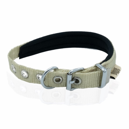 Softlu Köpek Boyun Tasması 2 cm 30-36-40 cm Haki