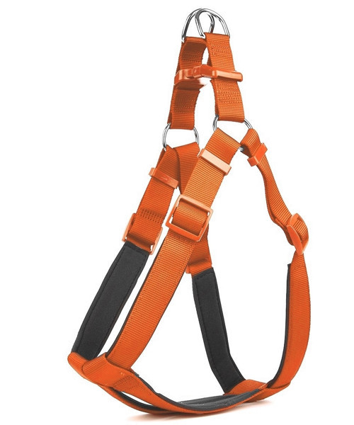 Comfort Ronin Köpek Bel Tasması 70cm Large Turuncu