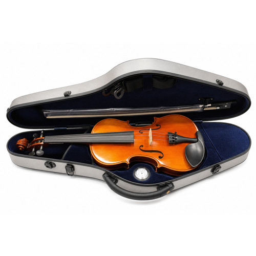 RS100C Cadenza 4/4 Keman Seti