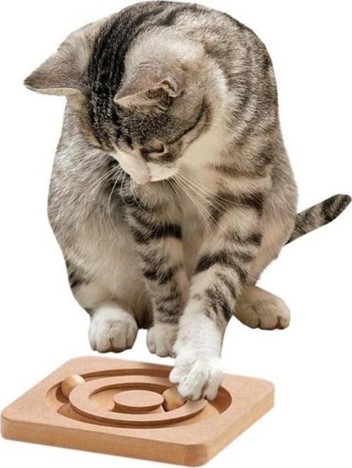 Ahşap Kedi Zeka Oyuncağı 19X19X2Cm