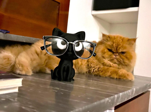 Siyah Kedi Dekoratif Gözlük Standı - Gözlük Düzenleyici - Gözlük Tutucu